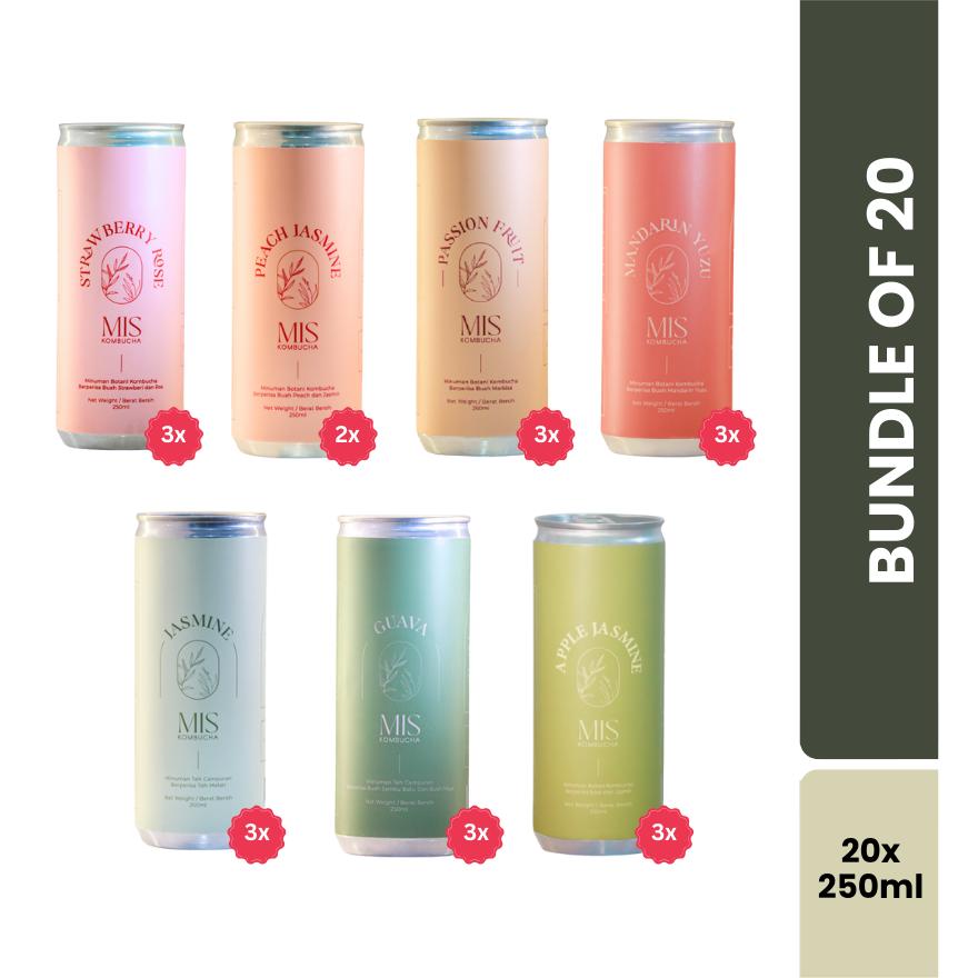 20 Cans Kombucha Bundle